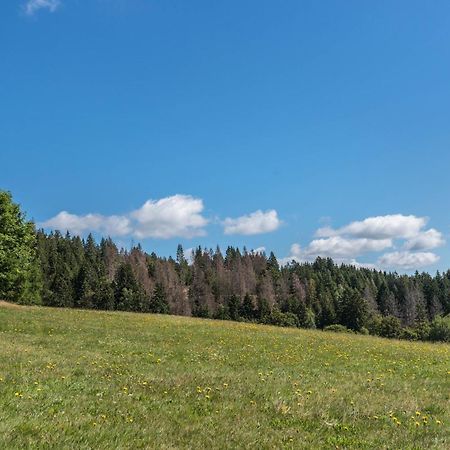 Haus Isele Apartment Urberg ภายนอก รูปภาพ