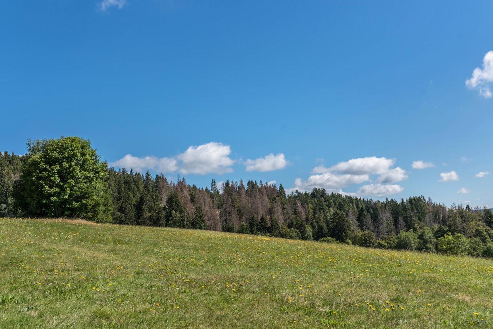 Haus Isele Apartment Urberg ภายนอก รูปภาพ